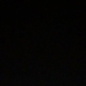 Meet your Posher, Dalton